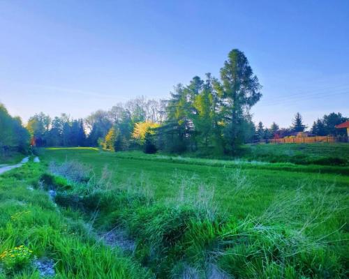 Zemborzyce Podleśne - 32 ary OKAZJA!!!