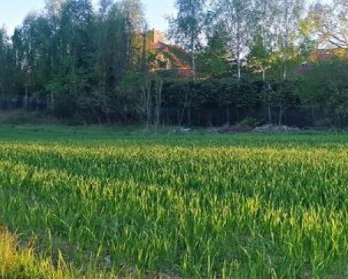 Zemborzyce Podleśne - 32 ary OKAZJA!!!