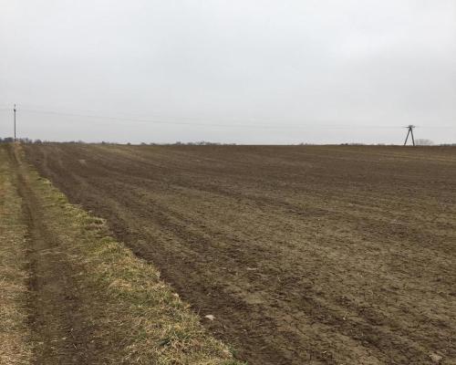 Działka 1.84ha Tomaszowice- Kolonia