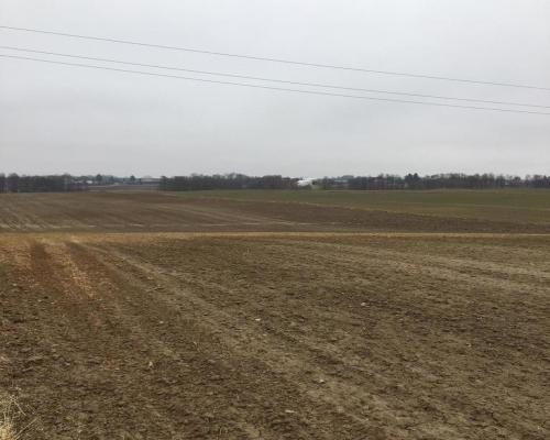 Działka 1.84ha Tomaszowice- Kolonia