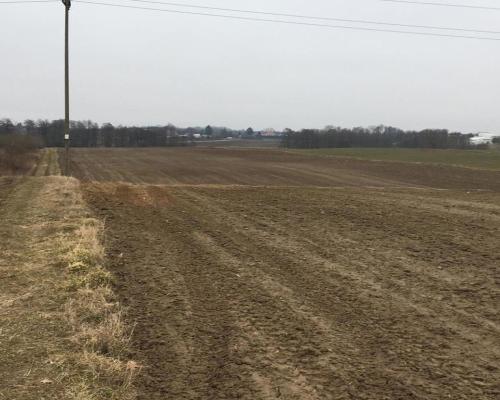 Działka 1.84ha Tomaszowice- Kolonia