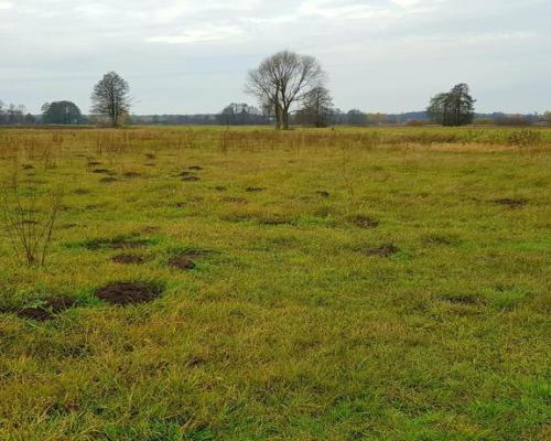 Grunt w Samoklęskach, gmina Kamionka, 22ar!