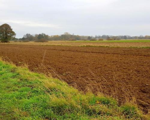 Grunt w Samoklęskach, gmina Kamionka, 22ar!