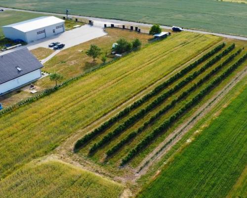 Borów Kol. Duża działka z możliwością uzyskania WZ