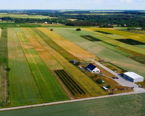 Borów Kol. Duża działka z możliwością uzyskania WZ