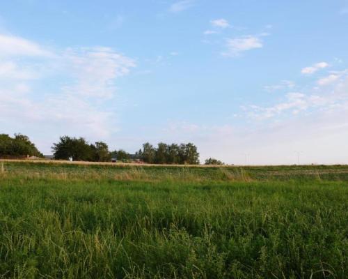 Jakubowice Konińskie- gm. Niemce, działka budowlana o powierzchni 2239 m2. Doskonała lokalizacja przy ulicy asfaltowej, z szybk