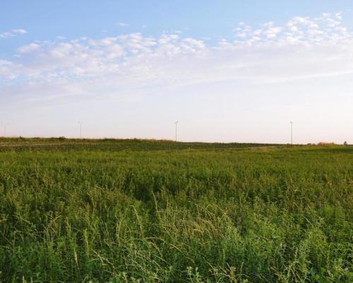 Jakubowice Konińskie- gm. Niemce, działka budowlana o powierzchni 2239 m2. Doskonała lokalizacja przy ulicy asfaltowej, z szybk