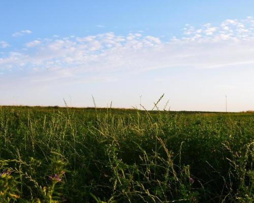 Jakubowice Konińskie- gm. Niemce, działka budowlana o powierzchni 2239 m2. Doskonała lokalizacja przy ulicy asfaltowej, z szybk