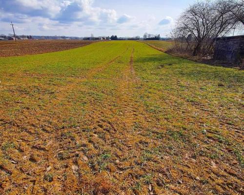 Działka pod zabudowę - Miłocin Kolonia - 47ar