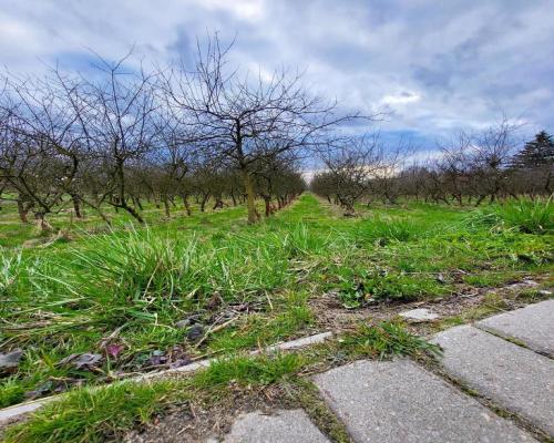 Motycz, - 30 ar - blisko szkoły, do wydzielenia