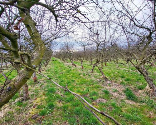 Motycz, - 30 ar - blisko szkoły, do wydzielenia