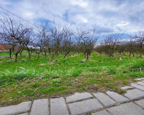 Motycz, - 30 ar - blisko szkoły, do wydzielenia