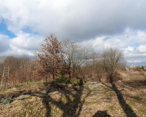 Bardzo ładna i duża działka budowlana w atrakcyjne