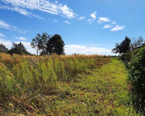 Sadurki - działka rolno-budowlana - 62ar