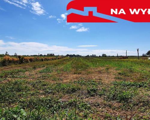 Sadurki - działka rolno-budowlana - 62ar