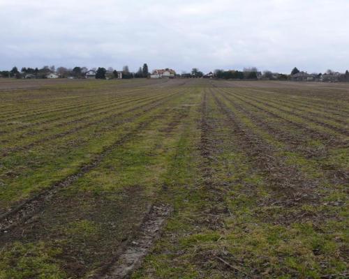 Działka w doskonałej lokalizacji-5 min. od Zalewu