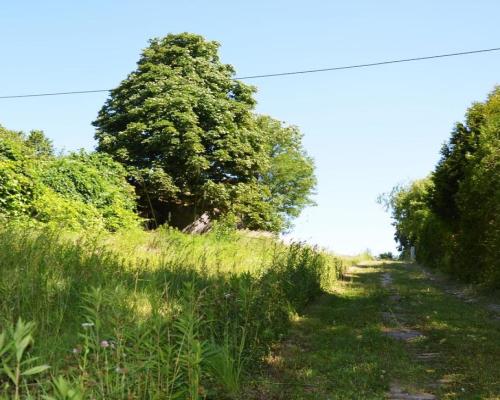 Działka rolno-budow. z szybkim dojazdem do Lublina