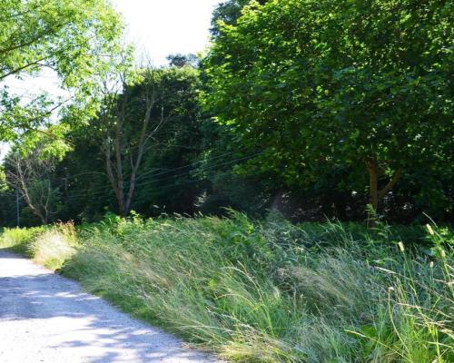 Działka rolno-budow. z szybkim dojazdem do Lublina