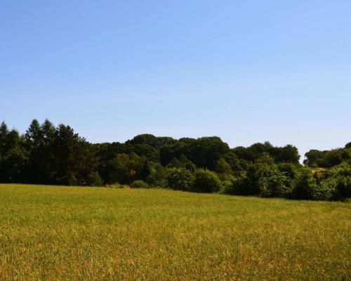 Działka rolno-budow. z szybkim dojazdem do Lublina