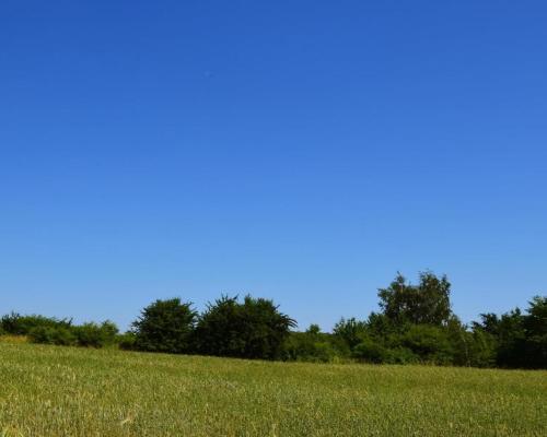 Działka rolno-budow. z szybkim dojazdem do Lublina