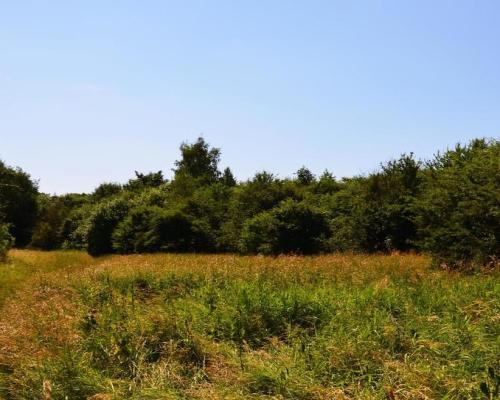Działka rolno-budow. z szybkim dojazdem do Lublina