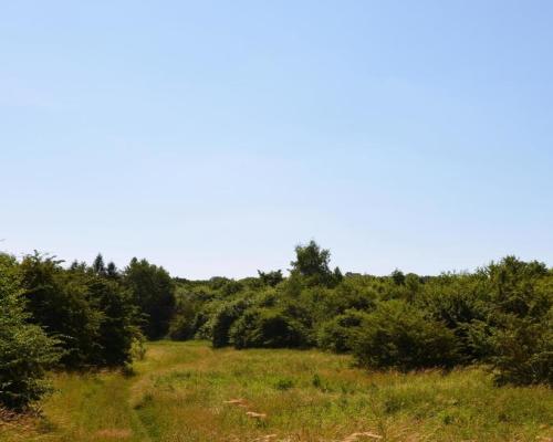 Działka rolno-budow. z szybkim dojazdem do Lublina