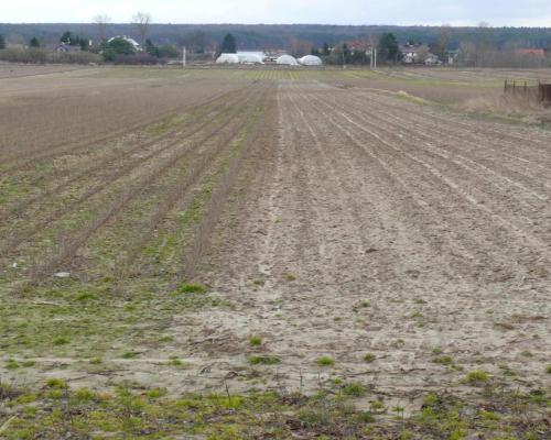 Działki w doskonałej lokalizacji-5 min. od Zalewu