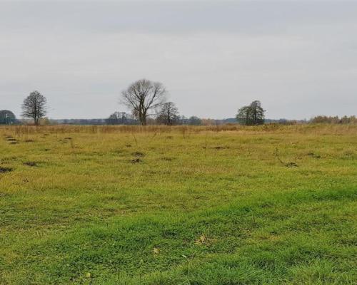 Samoklęski kol. Pierwsza - działka rolna