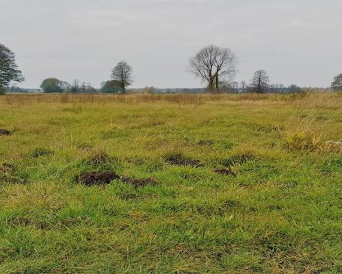 Samoklęski kol. Pierwsza - działka rolna