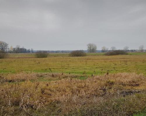 Samoklęski kol. Pierwsza - działka rolna