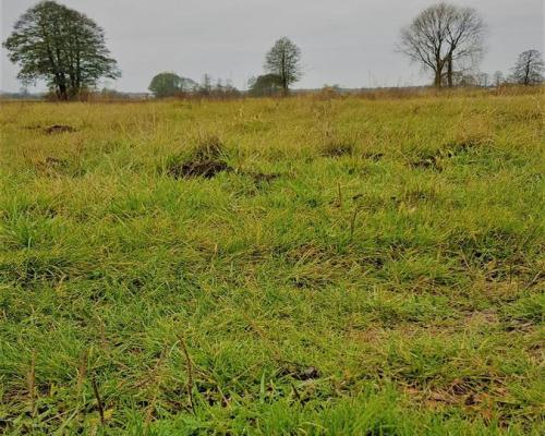 Samoklęski kol. Pierwsza - działka rolna