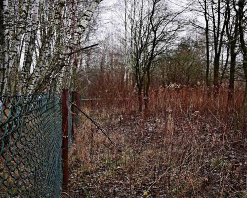 95 arów pod Kazimierzem Dolnym