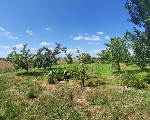 Gutanów - dom na 68 ar działki. - JEDYNE 300tys!