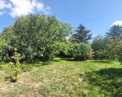 Gutanów - dom na 68 ar działki. - JEDYNE 300tys!