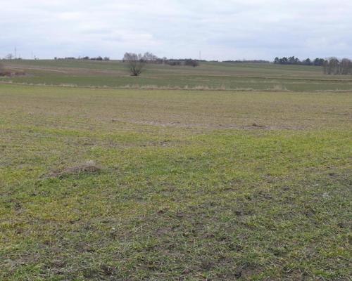 LUBLIN- Działka w cichej okolicy- Głusk.