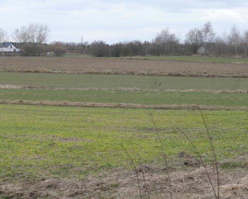 LUBLIN- Działka w cichej okolicy- Głusk.