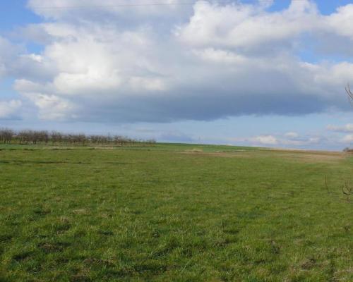 Działka pod dom lub małą działalność.