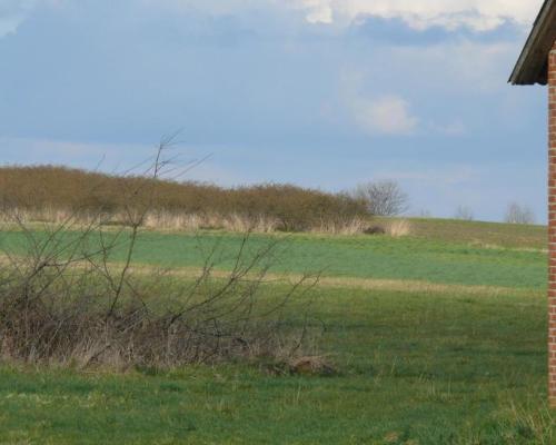 Działka pod dom lub małą działalność.