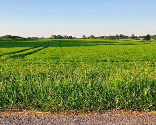 Działka 30ar nieopodal Lublina - Miłocin