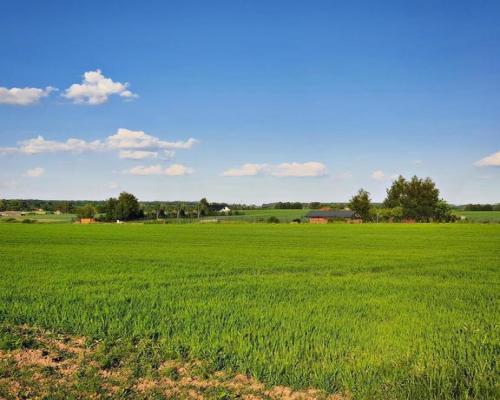 Działka 30ar nieopodal Lublina - Miłocin