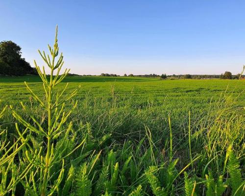Działka 30ar nieopodal Lublina - Miłocin