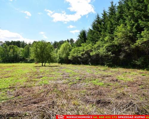 Pliszczyn, działka do wydzielenia 30-50a, rzeka.