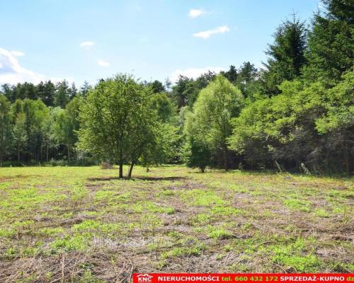 Pliszczyn, działka do wydzielenia 30-50a, rzeka.