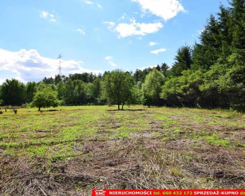 Pliszczyn, działka do wydzielenia 30-50a, rzeka.