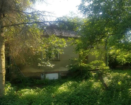 Atrakcyjne siedlisko 53 ar ziemi pod Kazimierzem