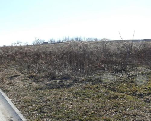 Działki budowlane w Nałęczowie.