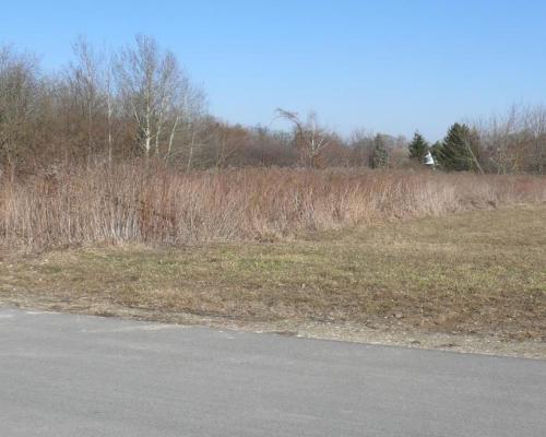 Działki budowlane w Nałęczowie.