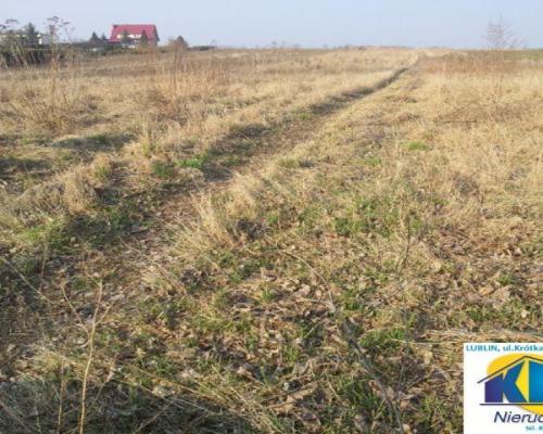 Działka 92 a. w Świdniczku koło Lublina, bezpośrednio przy asfaltowej drodze gminnej, w spokojnej okolicy. Działka:- powierzchn