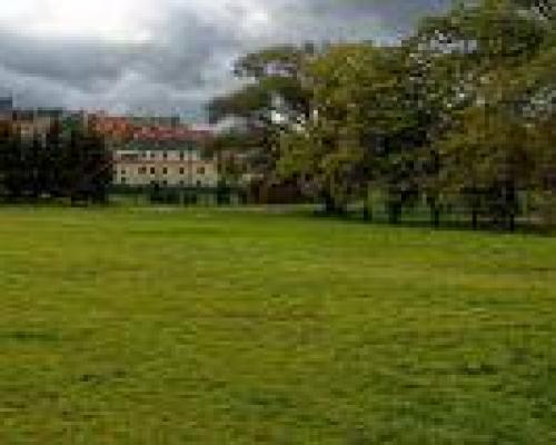 Sprzedam działkę komercyjną!