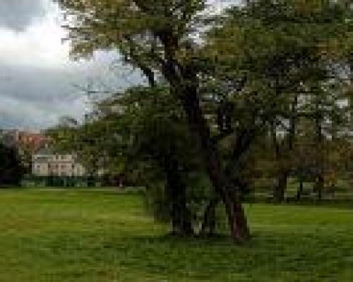 Sprzedam działkę komercyjną!